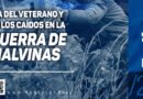 Día del Veterano y de los Caídos en la Guerra de Malvinas