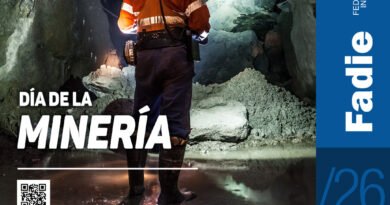 Día de la Minería